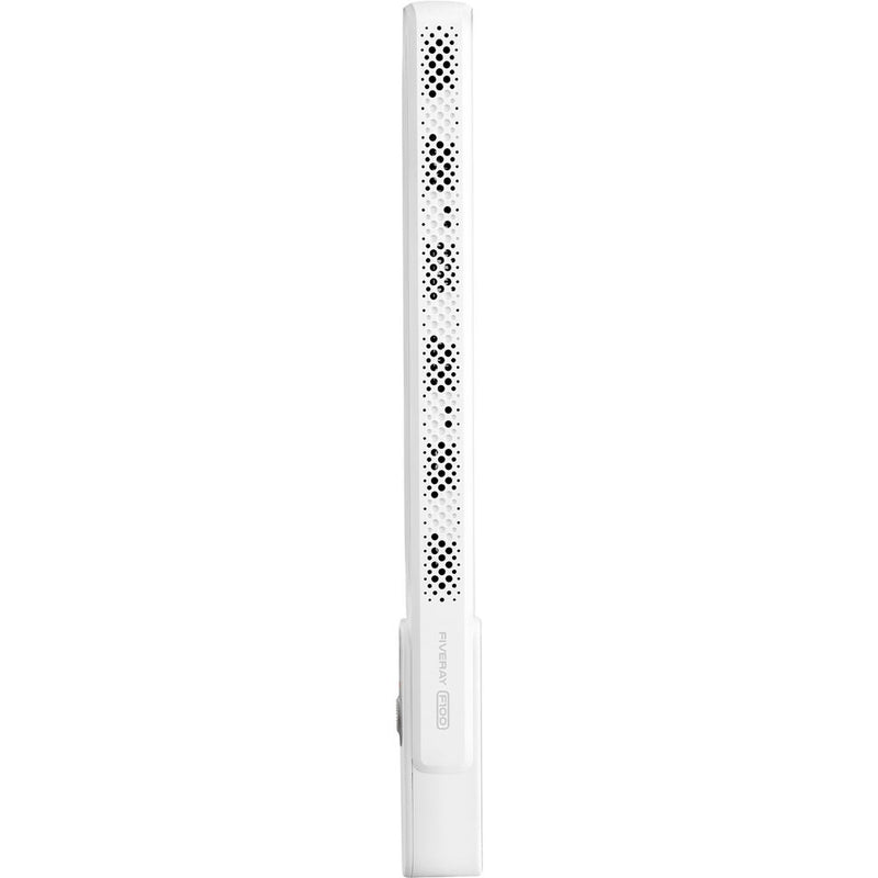 Zhiyun FIVERAY F100 LED Light Stick Combo (White)