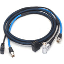 DigitalFoto Solution Limited AR1 D-Tap to 8-Pin LEMO with Canare 12G-SDI Cable & D-Tap Splitter (6.5')