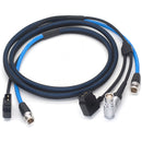 DigitalFoto Solution Limited AR1 D-Tap to 8-Pin LEMO with Canare 12G-SDI Cable & D-Tap Splitter (6.5')