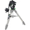 Sky-Watcher CQ350 Pro GoTo Mount with 2 Counterweights