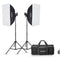 Godox MS200-V Studio Flash Monolight (2-Light Kit)