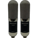 Pinnacle Microphones Vin-Jet Long-Ribbon Microphone with Stock Transformer (Stereo Pair)