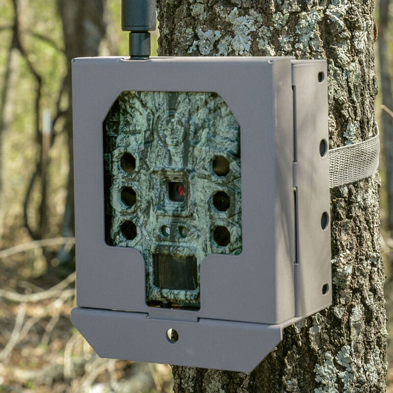 Bushnell Trail Cam Security Box for CelluCORE,&nbsp;CORE SD, CORE S-4K, Prime Series