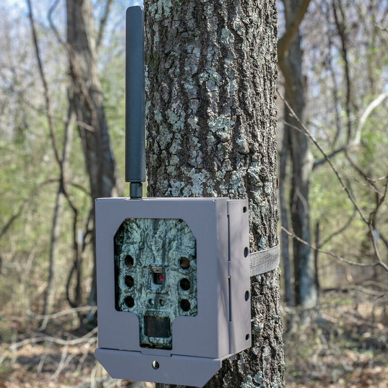 Bushnell Trail Cam Security Box for CelluCORE,&nbsp;CORE SD, CORE S-4K, Prime Series