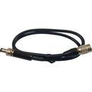 Remote Audio 4-Pin Hirose Male to 760K Cable for BDSv4UH System (24")