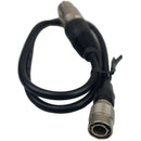 Remote Audio 4-Pin Hirose Male to 4-Pin XLRF Cable for BDSv4UH System (24")