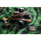 Bronkey Tokyo 105 Leather Camera Neck Strap (Brown and Tan, 37.4")
