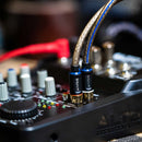 Austere V Series Audio Interconnect Cable (6.5')