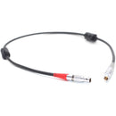 DigitalFoto Solution Limited 7-Pin LEMO to 4-Pin LEMO LBUS Motor Cable for ARRI Motors (2')