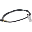 DigitalFoto Solution Limited Right-Angle 6-Pin Female LEMO to 3.5mm Male TRS Audio Cable for ARRI ALEXA Mini LF (2')