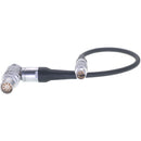 DigitalFoto Solution Limited 6-Pin to 8-Pin LEMO Power Cable for DJI Ronin 2 to Select ARRI Cameras (2')
