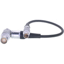 DigitalFoto Solution Limited 6-Pin to 8-Pin LEMO Power Cable for DJI Ronin 2 to Select ARRI Cameras (2')