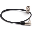 DigitalFoto Solution Limited BNC to 3.5mm Timecode Cable (11.8")