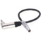DigitalFoto Solution Limited LEMO-Type 00B 4-Pin to 3.5 Timecode Cable for Tentacle Sync, Easync, and RED EPIC (11.8")