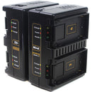 Hawk-Woods 4-Channel Canon BP-9 Battery Charger