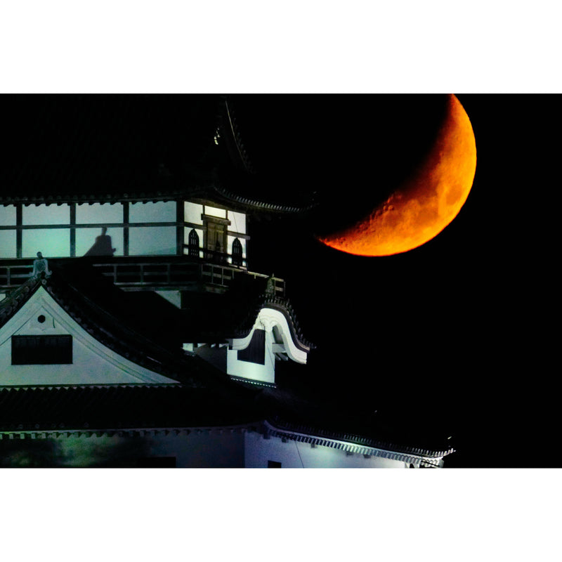 Tokina SZ 900mm f/11 Pro Reflex MF CF Lens (FUJIFILM X)