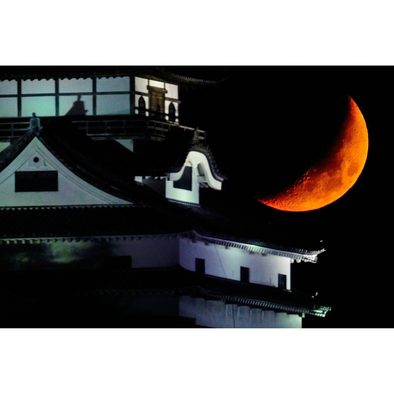 Tokina SZ 900mm f/11 Pro Reflex MF CF Lens (FUJIFILM X)