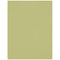 Westcott Wrinkle-Resistant Backdrop (Light Moss Green, 5 x 7')