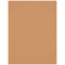 Westcott Wrinkle-Resistant Backdrop (Brown Sugar, 5 x 7')