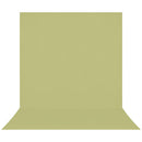 Westcott Wrinkle-Resistant Backdrop (Light Green Moss, 8 x 13')
