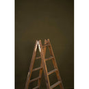 GravityBackDrops Hand Painted Classic Collection Low Texture Backdrop (Olive Green, 8.9 x 13')