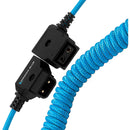 Kondor Blue Coiled D-Tap Extension Male to Female Cable (16 to 36")
