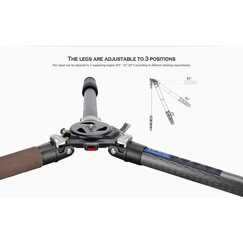 Leofoto LN-364C Carbon Fiber Tripod with YB-75LK Leveling Base Kit