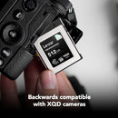 Lexar 512GB Professional CFexpress Type B Card DIAMOND Series