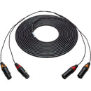 Sescom 2-Channel XLR Male to XLR Female Audio Snake Cable (10')
