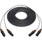 Sescom 2-Channel XLR Male to XLR Female Audio Snake Cable (10')