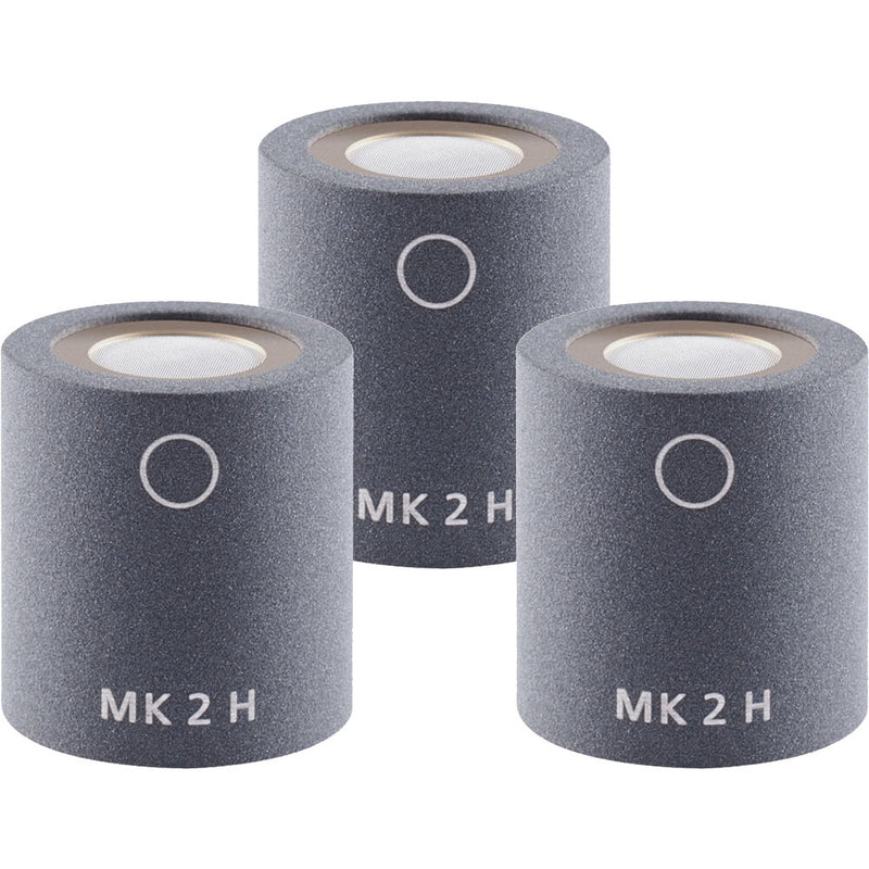 Schoeps MK 2H Microphone Capsule (Matched Trio, Matte Gray)