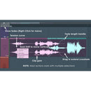 Image-Line FL Studio 21 Signature Edition Complete Music Production Software (Signature Bundle,&nbsp;Boxed)