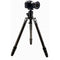 Benro Mammoth 75mm Photo Adapter Plate