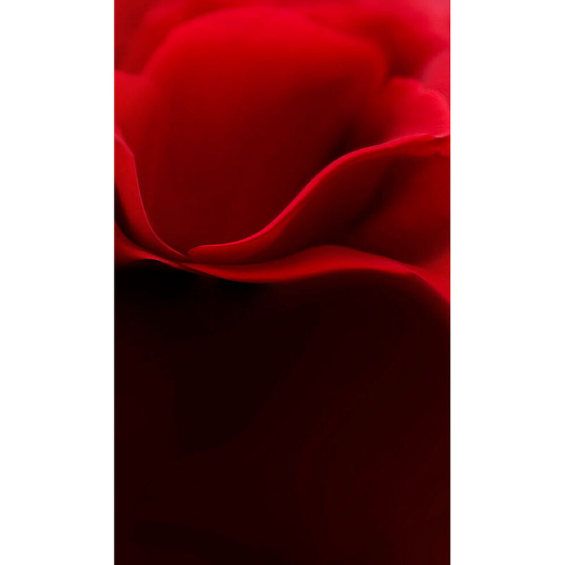 Click Props Backdrops ProFabric Photography Backdrop for Studios (Red Lovely, 6 x 10')
