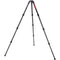 Leofoto LN-404C Carbon Fiber Tripod and DC-404C Center Column Kit