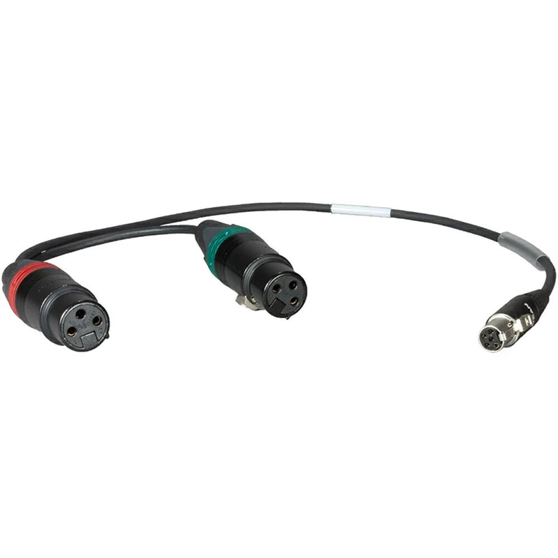 Ambient Recording 5-Pin Mini-XLR Female to Dual 3-Pin XLR Female Adapter Cable (15.7")