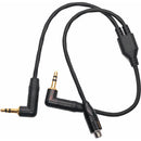 DigitalFoto Solution Limited Timecode and Microphone to Camera Audio Y-Cable (11.8")