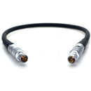 DigitalFoto Solution Limited 3-Pin Fischer to LEMO 2-Pin 0B Male Power Cable (19.7")