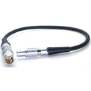 DigitalFoto Solution Limited Power Cable for DJI Ronin 2 TB50 Battery Compartment to Ronin 4D (3.9')