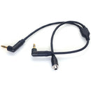 DigitalFoto Solution Limited Timecode and Microphone to Camera Audio Y-Cable (11.8")