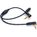 DigitalFoto Solution Limited Timecode and Microphone to Camera Audio Y-Cable (11.8")
