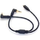 DigitalFoto Solution Limited Timecode and Microphone to Camera Audio Y-Cable (11.8")