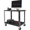 ConeCarts Large 2-Shelf Workstation Cart