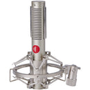 Direct Sound DS-R5 MKB Dynamic Ribbon Microphone (Silver)