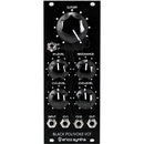 Erica Synths Black Polivoks VCF V2 Eurorack Module (10 HP)