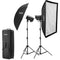 Godox DP400IIIV Professional Studio Flash with LED Modeling Lamp (400Ws, 2-Light Kit)