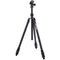 3 Legged Thing Charles 2.0 Darkness Magnesium Alloy Tripod with AirHed Pro Ball Head (Matte Black)