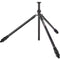 3 Legged Thing Charles 2.0 Darkness Magnesium Alloy Tripod (Matte Black)