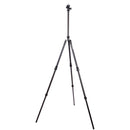 3 Legged Thing Charles 2.0 Darkness Magnesium Alloy Tripod with AirHed Pro Ball Head (Matte Black)