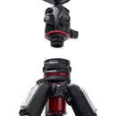 Manfrotto MT055CXPRO4 Carbon Fiber Tripod with MHXPRO-BHQ2 XPRO Ball Head & Move Quick Release Kit